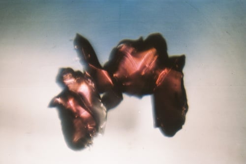 YLOP - FRECK©stephan brenn