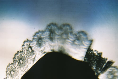 YLOP - FRIAK©stephan brenn