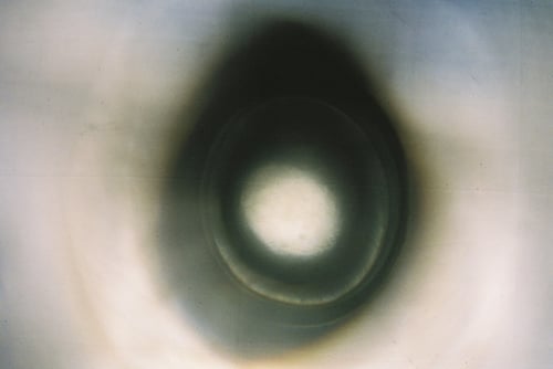 YLOP - EY ©stephan brenn