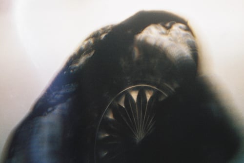 YLOP - DECOLL ©stephan brenn