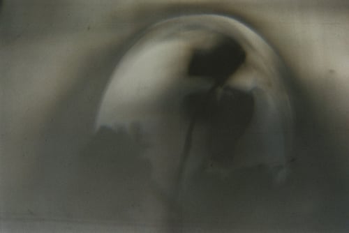 YLOP - PADMEH©stephan brenn