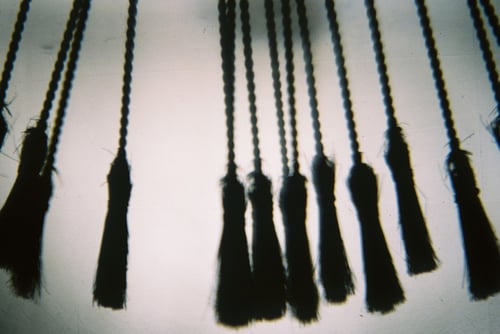 YLOP - ONG©stephan brenn