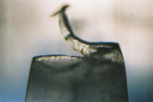 YLOP - REFFOND©stephan brenn