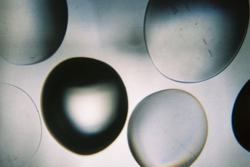 YLOP - POMPIDU©stephan brenn