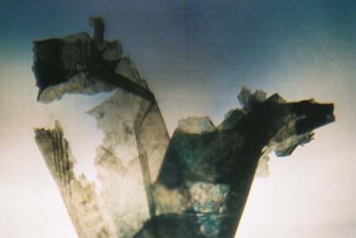 YLOP - AETIOLL©stephan brenn