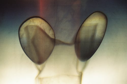 YLOP - SEROLL©stephan brenn