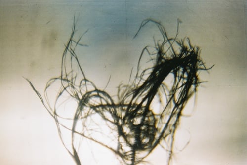 YLOP - POKSOD©stephan brenn