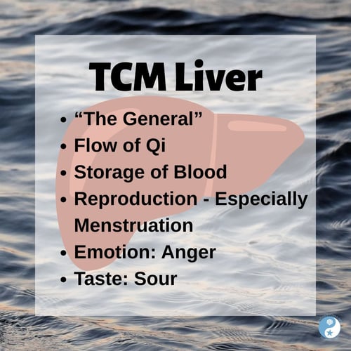 TCM Liver on the Beachside Blog: "The General," flow of Qi, storage of blood, menstruation