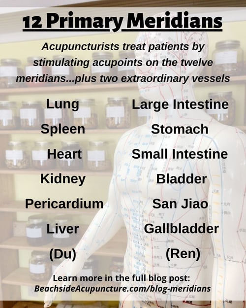 12 Primary Meridians on the Beachside Blog