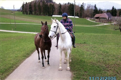 Needwood Spitfire + Diamond River