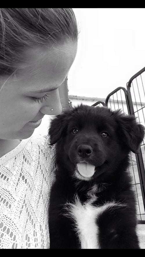 Airy ist heute bei Fabienne eingezogen 