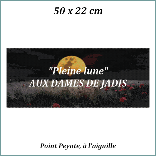 Lever de pleine lune sur un champ de coquelicots/tapisserie/tapestry/pattern-peyote-seed beads-miyuki-délica-auxdamesdejadis