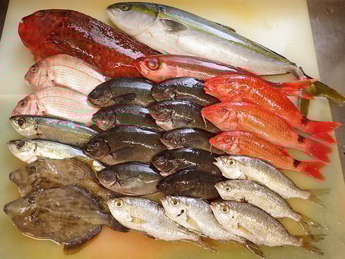 宅配寿司　出前