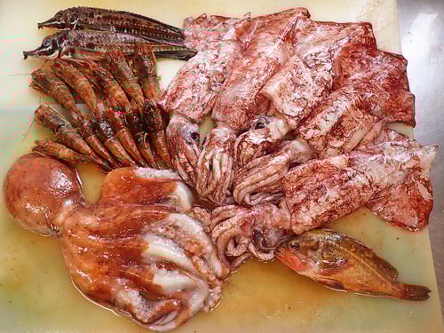 羅臼町　魚　漁業