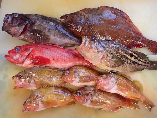 高級　寿司　出前