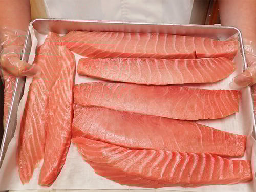 大とろ　最高級の寿司　出前