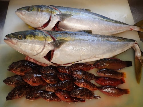 納会　寿司　出前