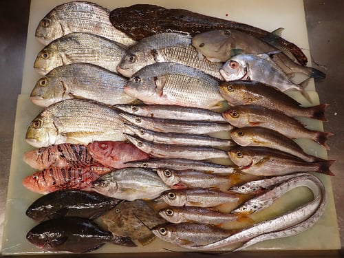 年末年始　営業　宅配寿司