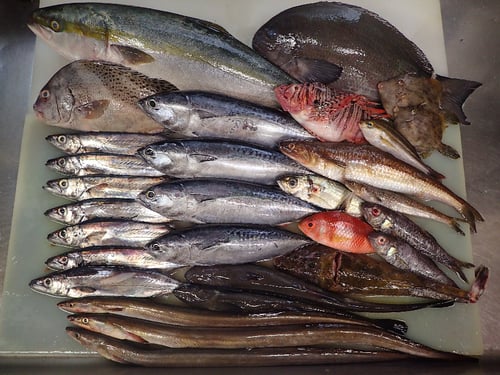 神田司町　出前　デリバリー