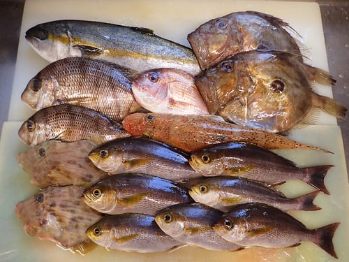 SDGs　出前　デリバリー