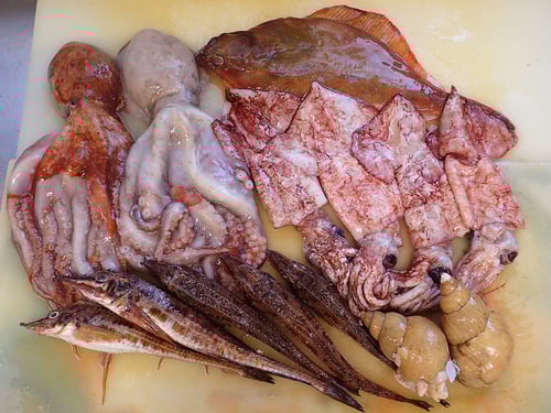 羅臼町　魚　漁業　北海道