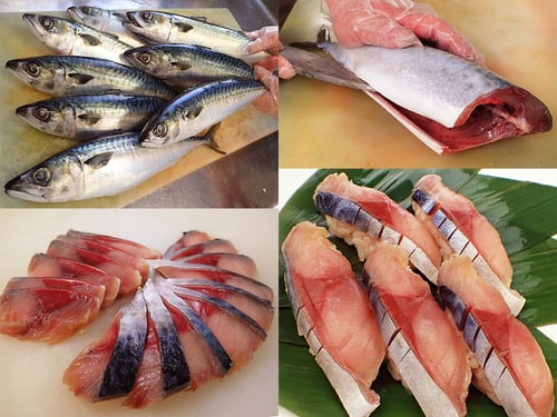 マサバ　宮城県産