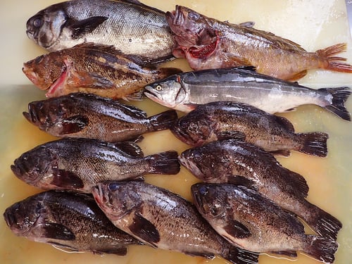 北海道　産地直送