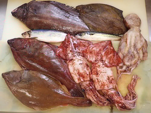 産地直送　北海道　羅臼町