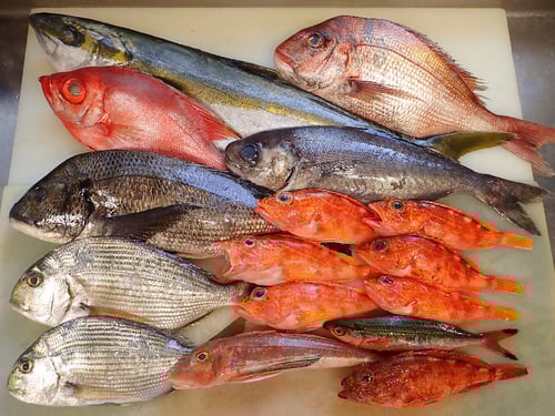 SDGs　未利用魚　寿司　出前