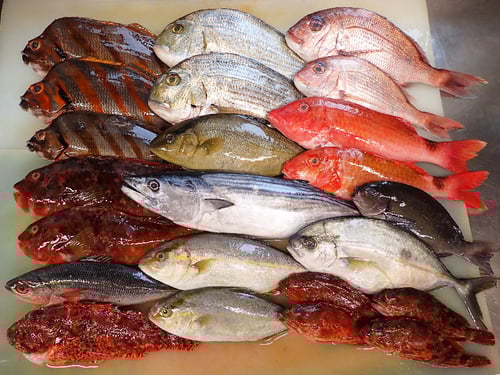 SDGs　未利用魚　活用