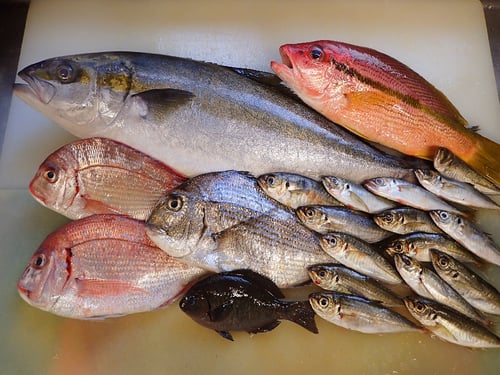 宅配寿司　出前