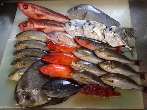 出前　デリバリー　SDGs