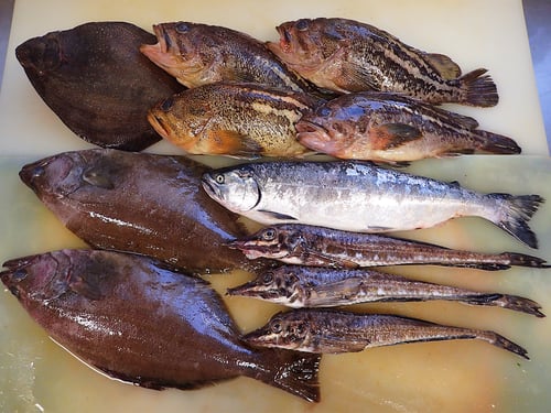 高級　寿司　出前