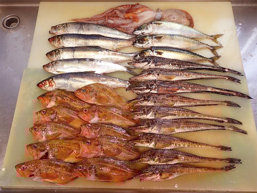 高級　寿司　出前