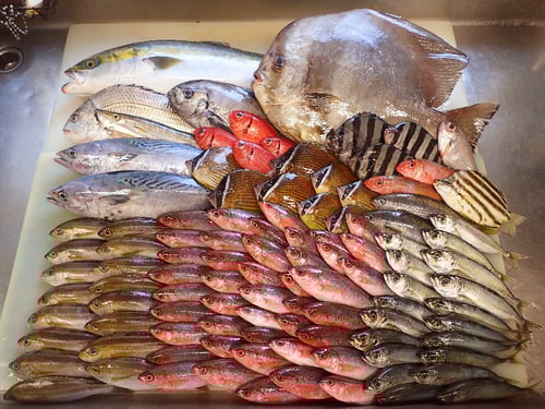 出前　デリバリー