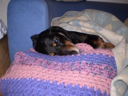 Negro macht ein Nickerchen