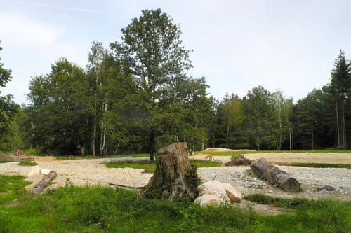 Offenland-Kies-Mischfläche mit Totholz und Laichgewässer und Solitäreiche