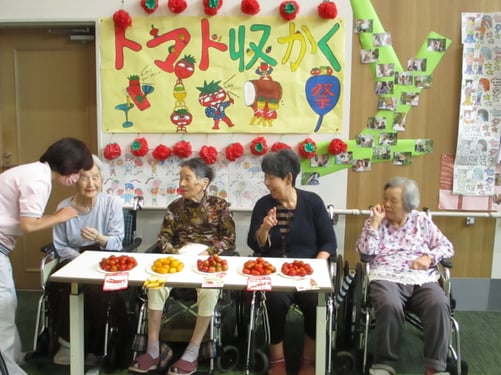 トマト収穫祭
