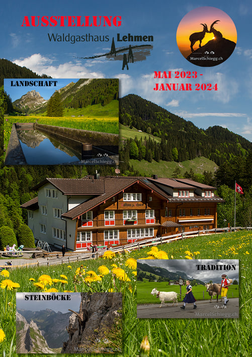 Marcel Schiegg, Ausstellung, Waldgasthaus Lehmen, Alpstein, Appenzellerland, Steinbock, Tradition, Landschaft