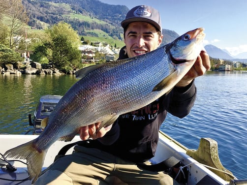 Im Drill Point Fishing Onlineshop findest Du tolle Hegenen für den Fang Kapitaler Renken / Felchen. Jetzt eine preiswerte Hegene online kaufen.