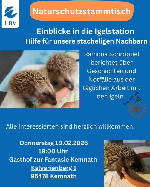 Fotos: Ramona Schröppel