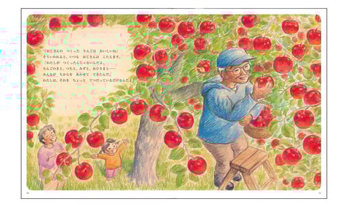 リンゴと生命力の写真