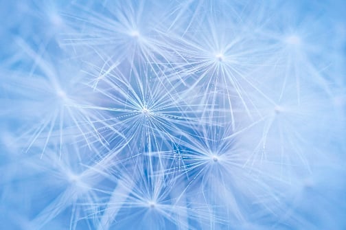 Hilfe bei Posttraumatischer Belastungsstörung - Sabine Fels