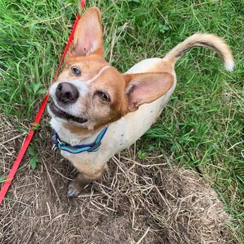 Foto ©️Anne Rosengrün