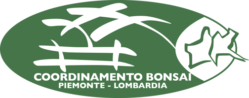 Coordinamento Bonsai Piemonte-Lombardia