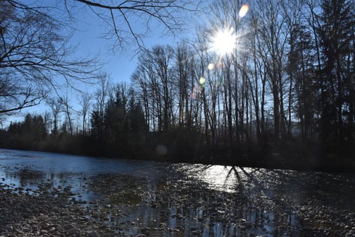 Nachmittagsstimmung an der Emme, Sonnenstrahlen die durch die Bäume scheinen am Ufer des Baches