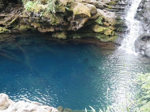 Ojos del Caburgua  turístico vecino a  nuestro centro
