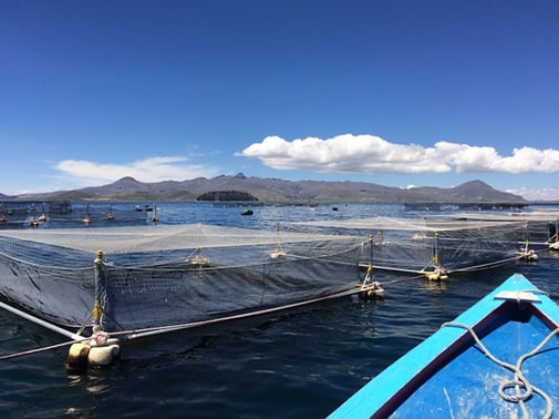 Balsas jaula, Lago Titicaca