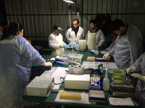 Manejo del screening sanitario individual durante el desove de los reproductores