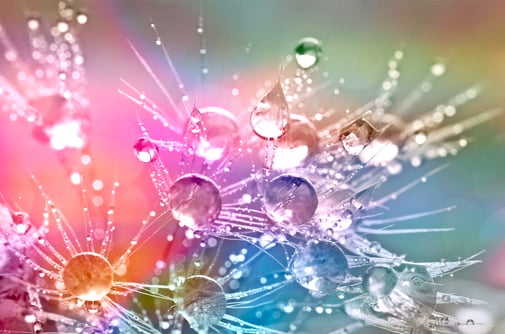 Arbeit mit dem inneren Kind - Sabine Fels